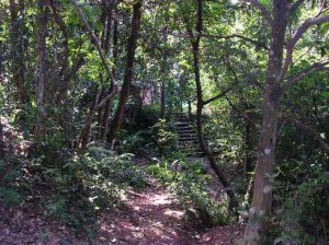 Um dos bosques da Escola, próximo às suas piscinas. (Foto: Duda Pimentel) 