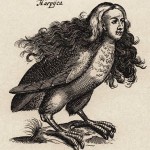 Harpia1.ilust. Matthius Merian (1593-1650)